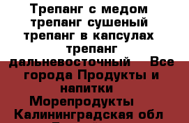 Трепанг с медом, трепанг сушеный, трепанг в капсулах, трепанг дальневосточный. - Все города Продукты и напитки » Морепродукты   . Калининградская обл.,Балтийск г.